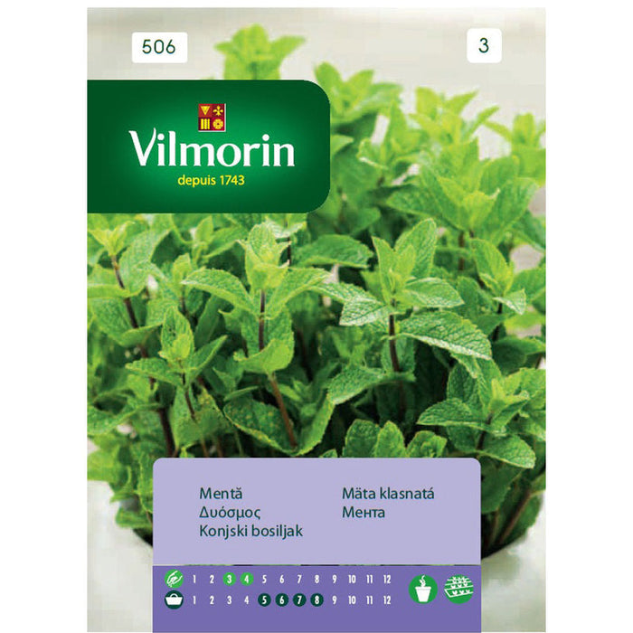 VILMORIN MINT SEEDS - Семена<<<Семена луковици и разсад<<<Градина<<<Praktiker