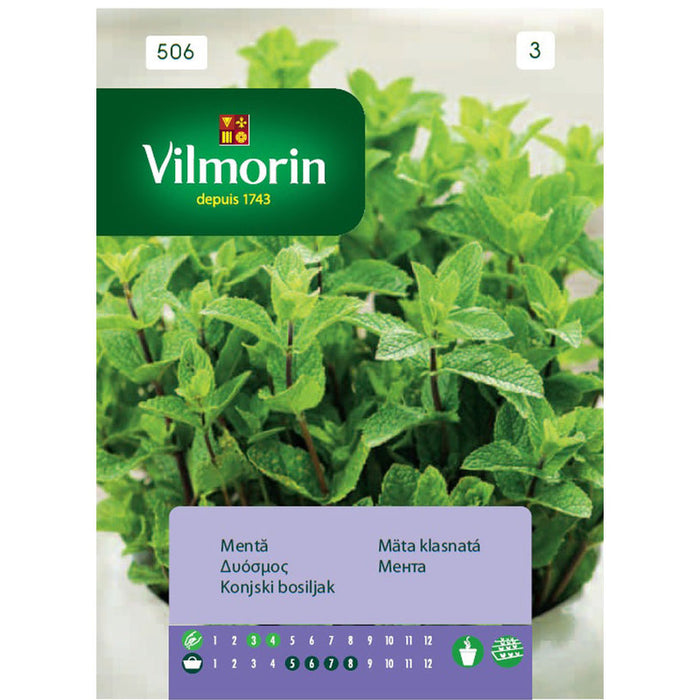 VILMORIN MINT SEEDS