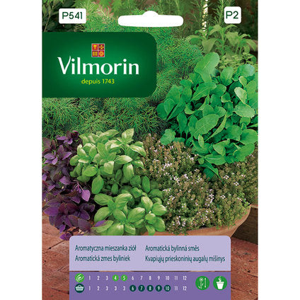 SEEDS MIX SPICES VILMORIN