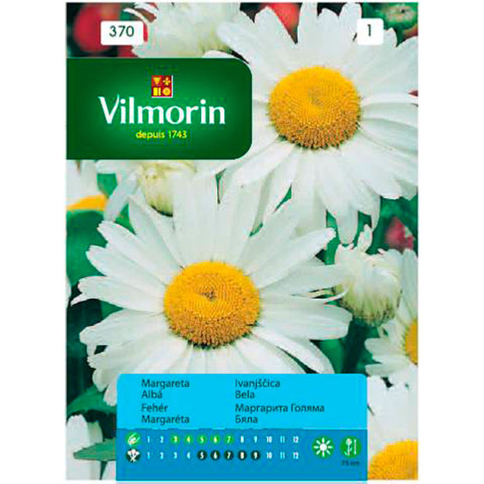 WHITE MARSHER SEEDS VILMORIN