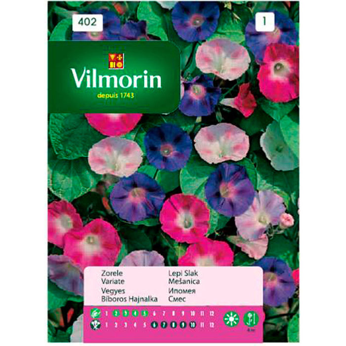 SEEDS IPOMEIA MIXTURE VILMORIN