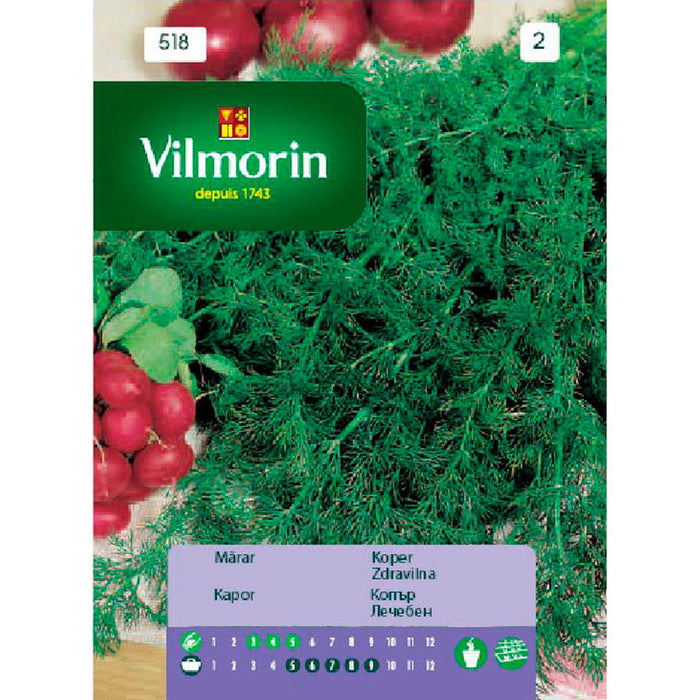 VILMORIN DILL SEEDS