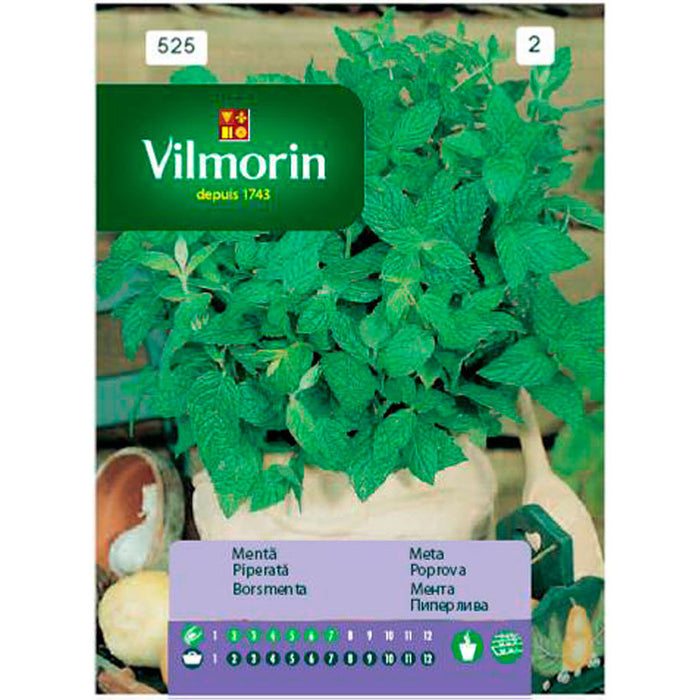 VILMORIN MINT SEEDS