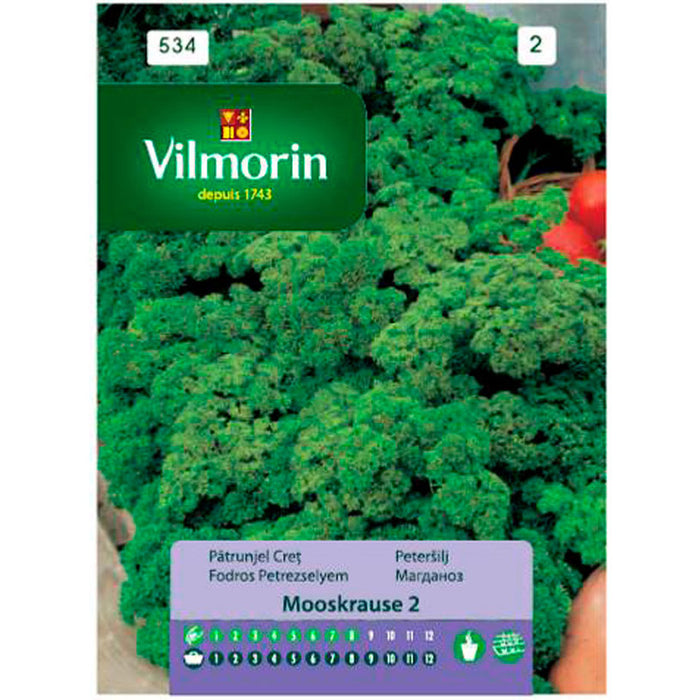 VILMORIN PARSLEY SEEDS