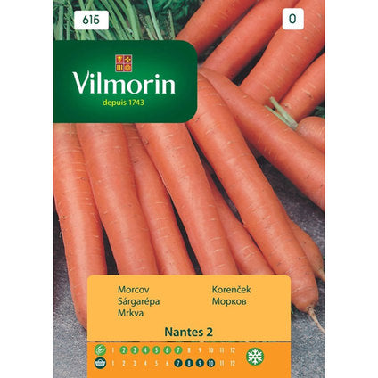 CARROT SEEDS NANTES VILMORIN