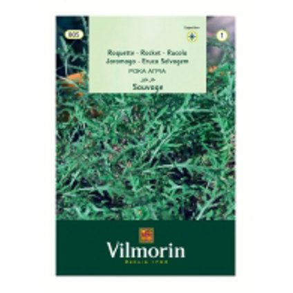 Arugula seeds VILMORIN