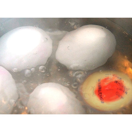 VIN BOUQUET EGG COOKING TIMER