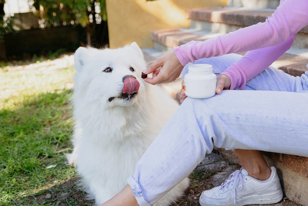 VIRBAC Movoflex S Joints - supplements for dogs -  30 pcs