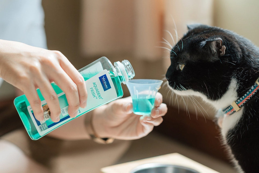 VIRBAC Vet Aquadent FR3SH - dental solution for oral hygiene for dogs and cats – 500ml