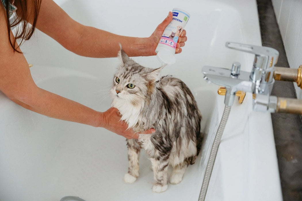 VIRBAC Allerderm sensitive skin - shampoo for dogs and cats - 250 ml