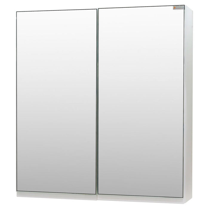 BATHROOM CABINET WITH MIRROR HEIGHT POLI 55