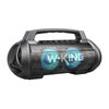 Wireless Bluetooth Speaker W-KING D10 70W (black)