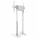 Wall Bracket Neomounts AFP-875WH White - Електроника Периферни и резервни части<<<Компютри|