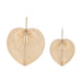 Wall Decoration Home ESPRIT Light brown Natural Fan Tropical (4 Pieces) - Декорация и Осветление<<<Дом