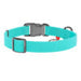 Waterproof glowing dog collar with QR passport WAUDOG 40 mm wide 46-70 cm long - Walking