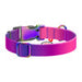 Waudog gradient nylon dog collar with QR code purple size M - Walking and transportation<<<Pets<<<InnproXML