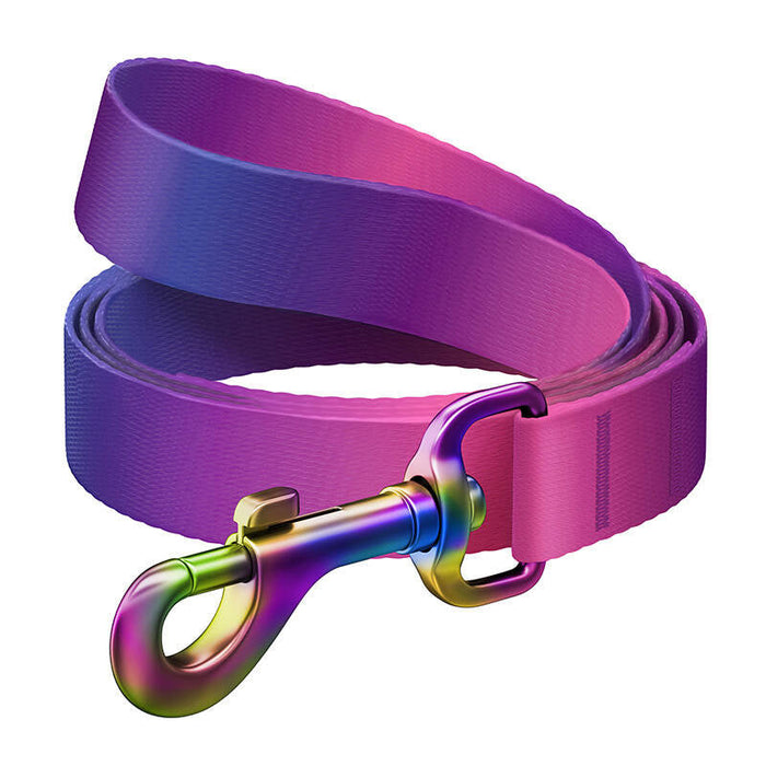WAUDOG gradient nylon dog leash 15mm wide 122cm long purple - Walking and transportation<<<Pets<<<InnproXML