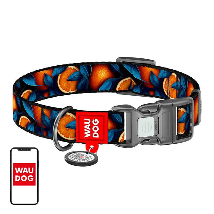 Waudog ’Oranges’ nylon dog collar with QR code size M - Walking and transportation<<<Pets<<<InnproXML