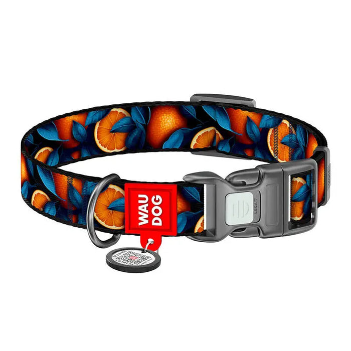 Waudog ’Oranges’ nylon dog collar with QR code size M - Walking and transportation<<<Pets<<<InnproXML