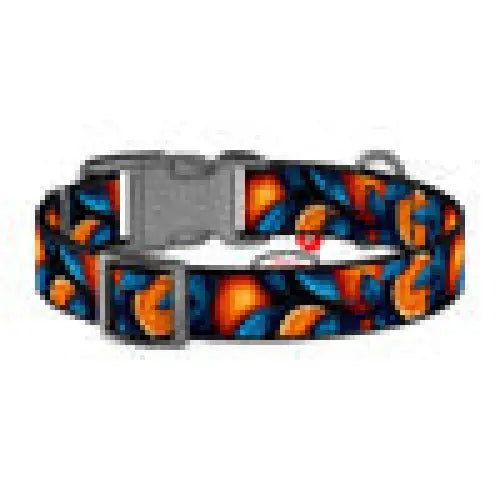 Waudog ’Oranges’ nylon dog collar with QR code size S - Walking and transportation<<<Pets<<<InnproXML