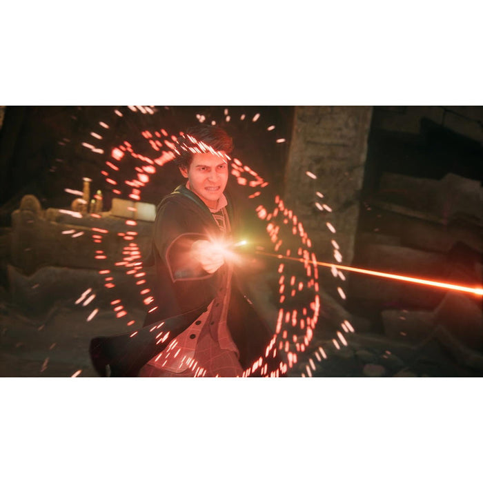 Hogwarts Legacy Deluxe Edition Game (PS4)