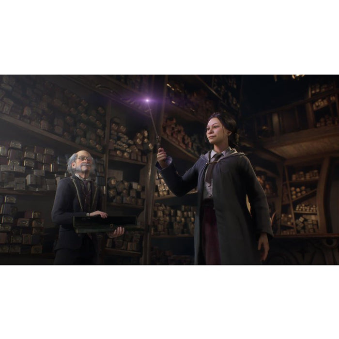 Hogwarts Legacy Game (PS4)