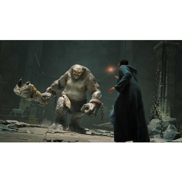 Hogwarts Legacy Game (PS5)