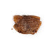 Wet food Snackys Fish 600 g - Домашни Животни<<<Дом Градина<<<BigBuy&&&Хранене на домашни любимци<<<Домашни
