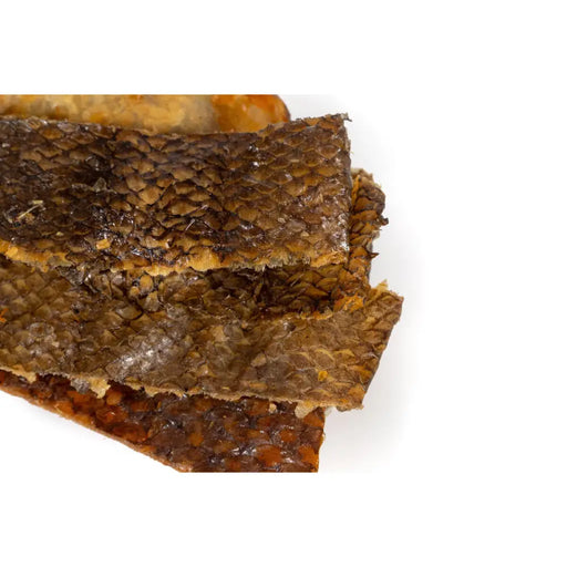 Wet food Snackys Fish - Домашни Животни<<<Дом Градина<<<BigBuy&&&Хранене на домашни любимци<<<Домашни Животни<<<Дом