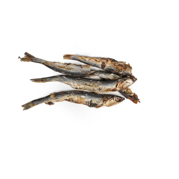 Wet food Snackys Fish - Домашни Животни<<<Дом Градина<<<BigBuy&&&Хранене на домашни любимци<<<Домашни Животни<<<Дом