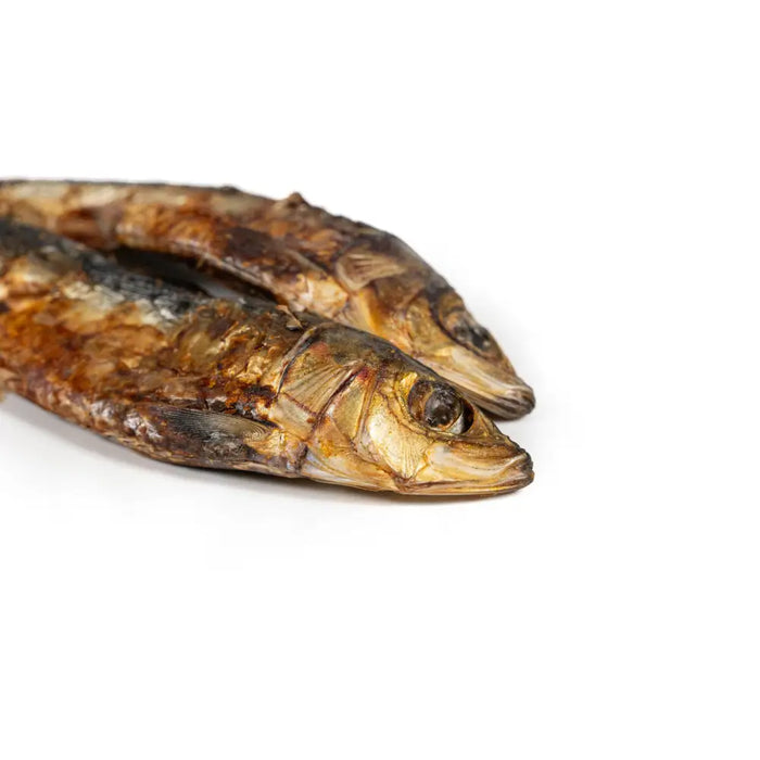 Wet food Snackys Fish - Домашни Животни<<<Дом Градина<<<BigBuy&&&Хранене на домашни любимци<<<Домашни Животни<<<Дом