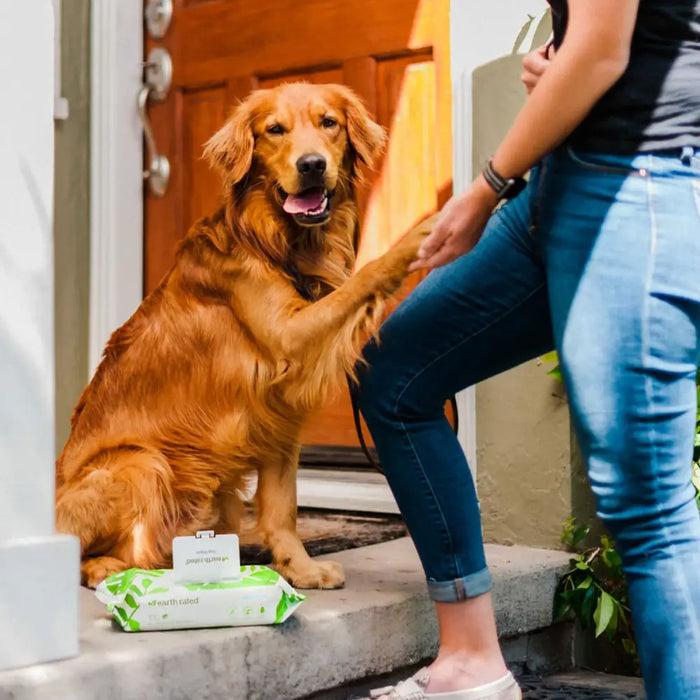 Wet Wipes for Pets Earth Rated Perfume free 100 Units - Домашни Животни<<<Дом Градина<<<BigBuy&&&Здраве и