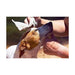 Wet Wipes for Pets GILL’S XL 30 x 20 cm 40 Units - Домашни Животни<<<Дом Градина<<<BigBuy&&&Здраве и хигиена<<<Домашни