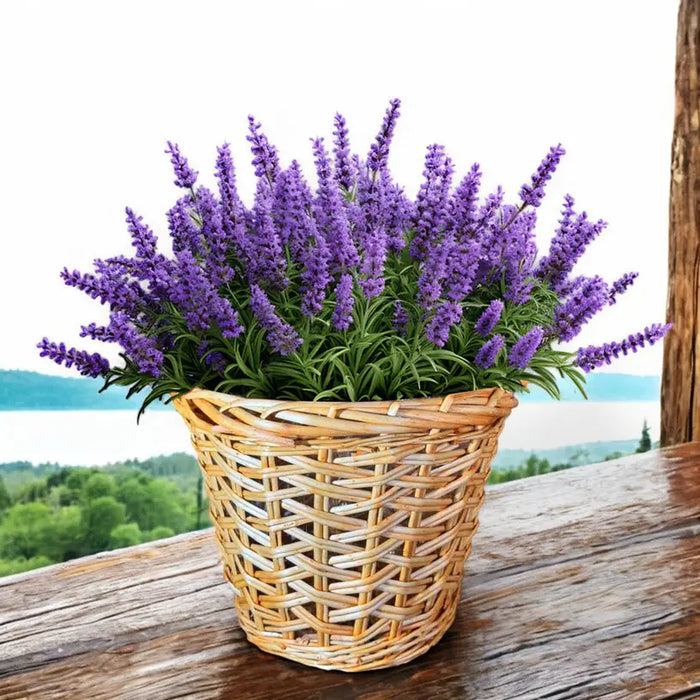 WICKED BASKET M 23X26CM GARDEN STAR HD-10875-M - Саксии<<<Саксии кашпи и цветарници<<<Градина<<<Praktiker