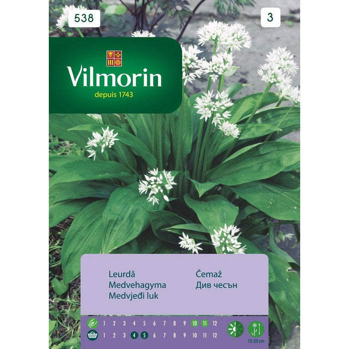 WILD GARLIC SEEDS VILMORIN - Семена<<<Семена луковици и разсад<<<Градина<<<Praktiker