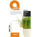WILD ONION SEEDS LACTOFOL BOTANIC - Семена<<<Семена луковици и разсад<<<Градина<<<Praktiker
