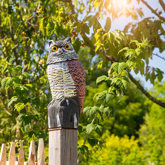 WINDHAGER BIRD PROTECTION OWL WH07102