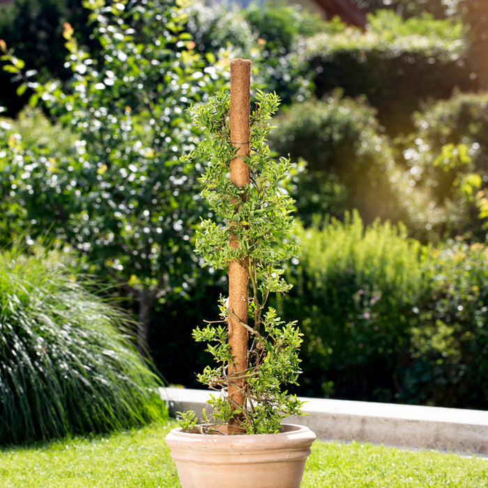 COCONUT RODS FOR CLIMBING PLANTS WINDHAGER