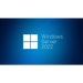 Windows Svr Std 2022 64Bit English 1pk DSP OEI DVD 16 Core - Сървъри<<<Microsoft ОЕМ