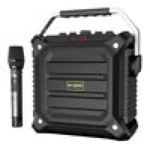 Wireless Bluetooth Speaker W-KING K3H 100W + microphone (black) - Bluetooth portable