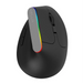 Wireless Vertical Mouse Delux M618C 2.4G 1600DPI RGB (black) - Wireless<<<Mice<<<Gaming<<<InnproXML