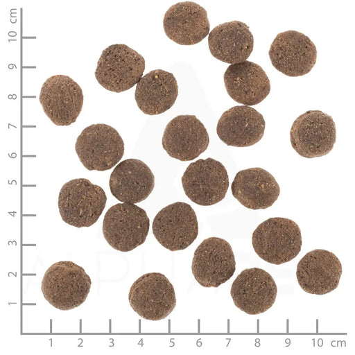 WOLFSBLUT VetLine Hypoallergenic Horse with sweet potatoes - dry dog food - 2kg - Dry foodDLP-KAS<<<For