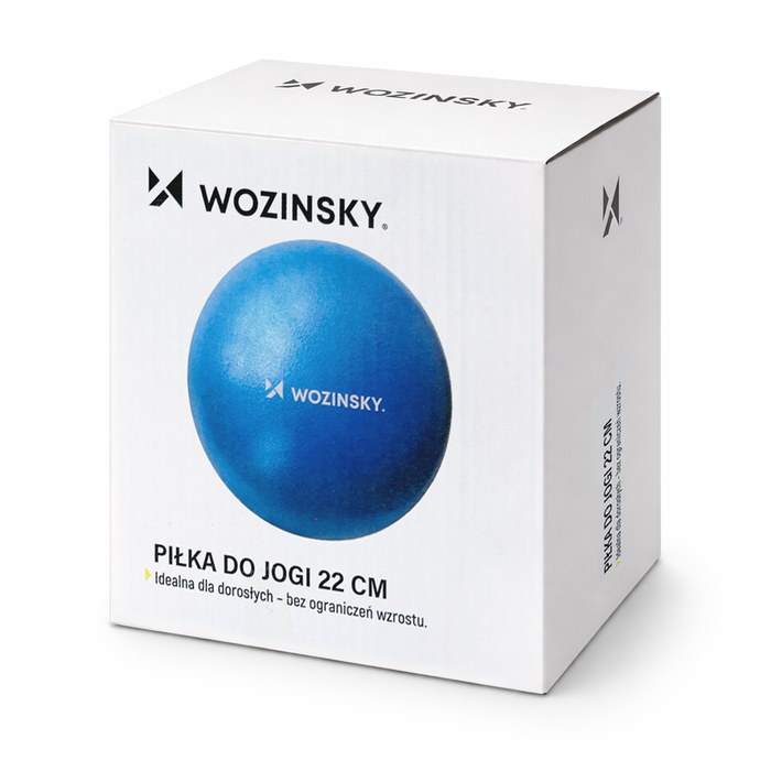 Wozinsky WPDP-N22 rehabilitation exercise ball 22cm - blue