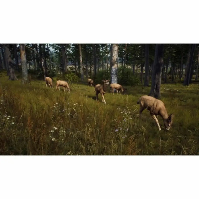 Xbox Series X Video Game THQ Nordic Wild Expeditions (FR) - Електроника Игри<<<Компютри| Електроника<<<BigBuy&&&Видео