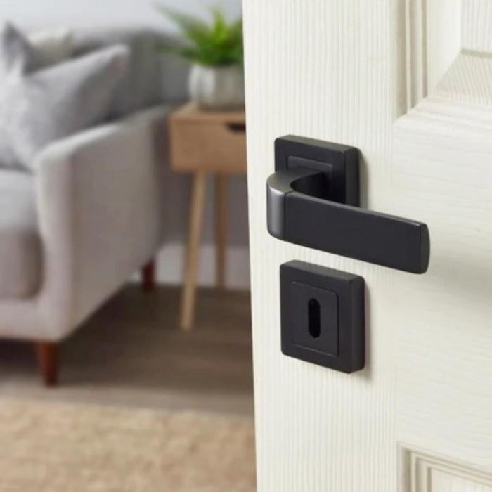 YALE BOLOGNA DOOR HANDLE