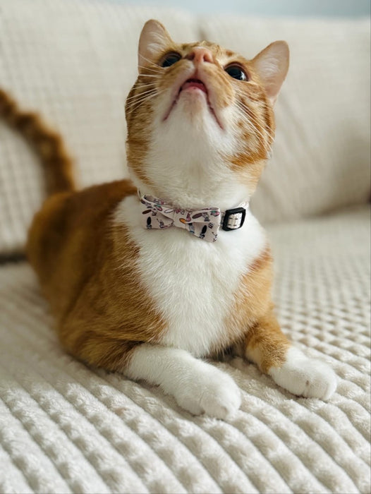 ZOLUX Chatouille beige - cat collar