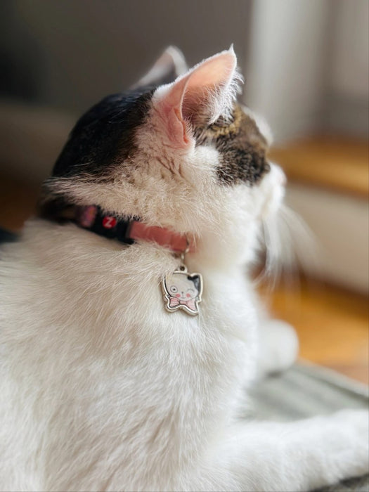 ZOLUX Chatouille pink - cat collar