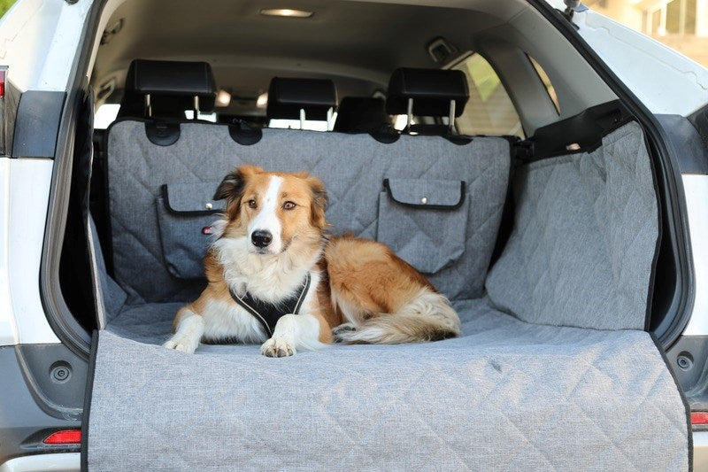 ZOLUX Nomad – car trunk protective cover