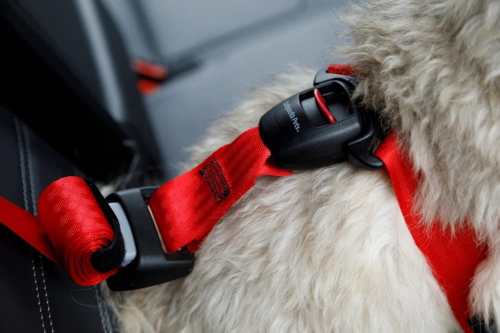 ZOLUX Travel Safe M red - dog harness
