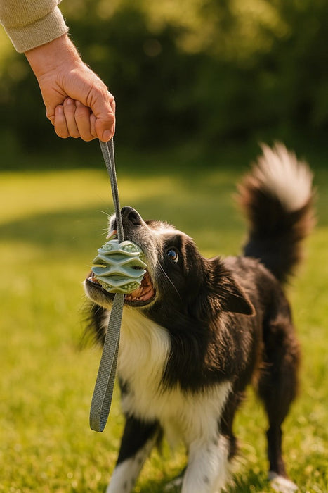 ZOLUX Ball TPR Outdoor Blue - Dog toy